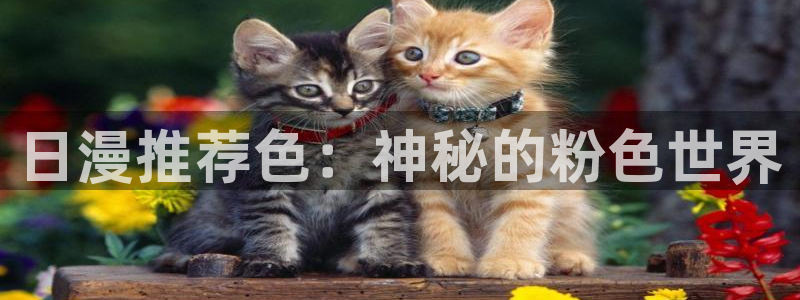 羞羞漫画在线免费观看秋蝉