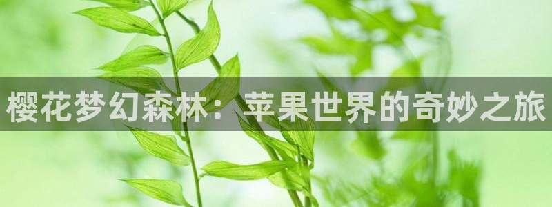 羞羞漫画免费成人