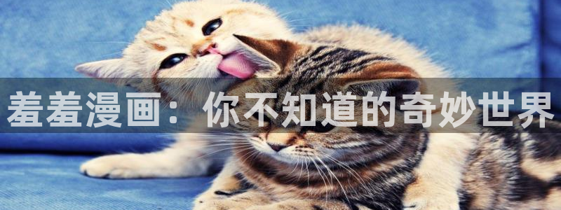 羞羞漫画免费大全网站