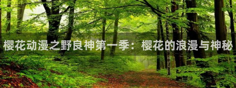 羞羞漫画网在线看：樱花动漫之野良神第一季：樱花的浪漫与神秘