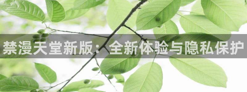 羞羞漫画首页观看：禁漫天堂新版：全新体验与隐私保护